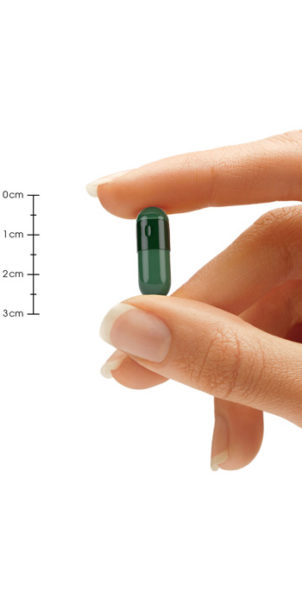 Zenta Pill Size Hand Comparison