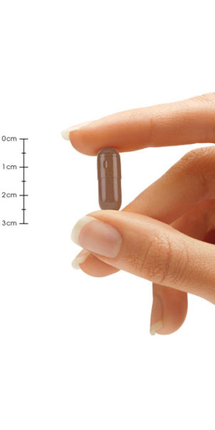 Ceylon Cinnamon Pill Size Hand Comparison