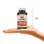 Turmeric Curcumin Bottle Size Hand Comparison