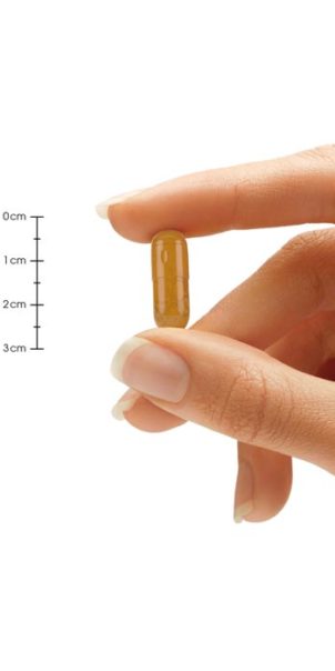Turmeric Curcumin Pills Size Hand Comparison
